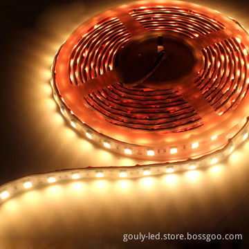 Drop Glue Waterproof LED Strip, SMD5050, 60LED/m